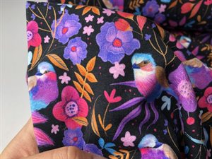 Isoli - sødeste fugle og lilla blomster